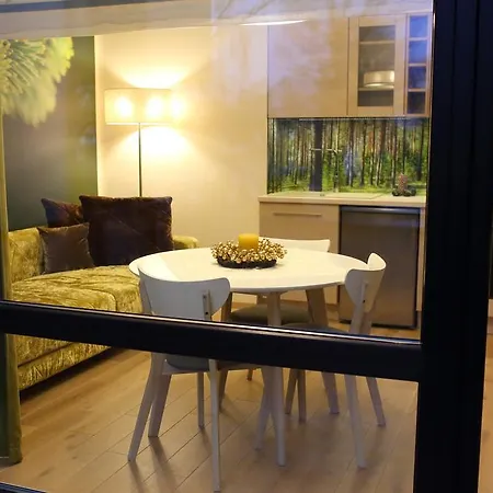 Butas Fountain Palanga