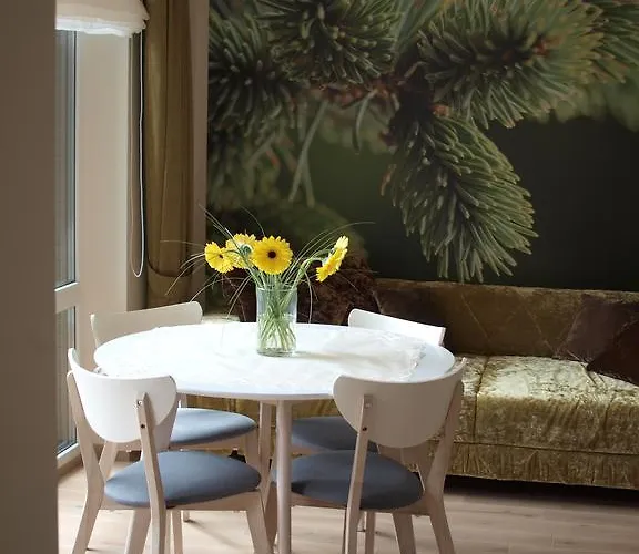 Daire Fountain Palanga